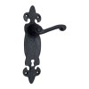 "Azor" Black Iron Door Handle with Plate 